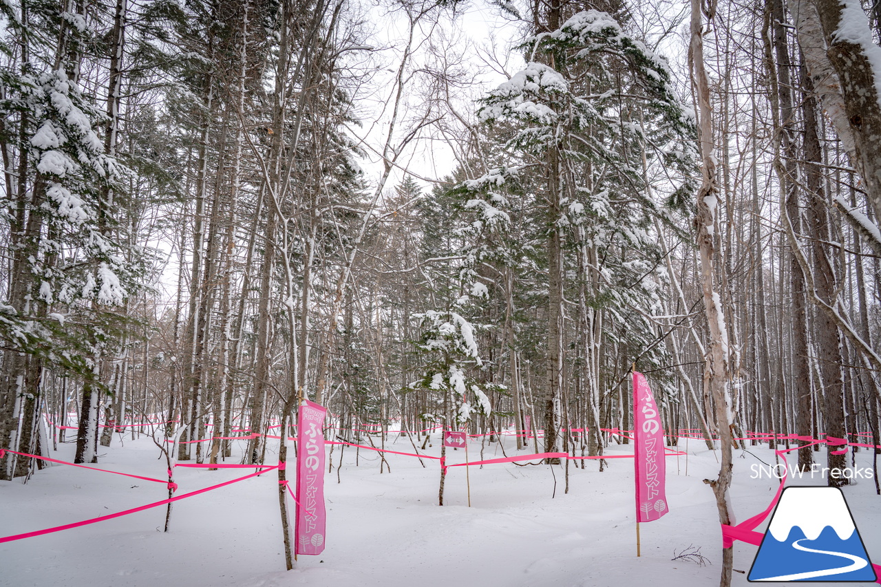 富良野スキー場｜スキーやスノーボードが初めての子供たちや初級者でも、ゲレンデの楽しさを味わえる工夫がいっぱい♪みんなに優しいスノーリゾート・富良野スキー場(^^)/